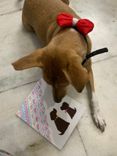 Load image into Gallery viewer, Dog Doodle Art: Colourful Art on Canvas