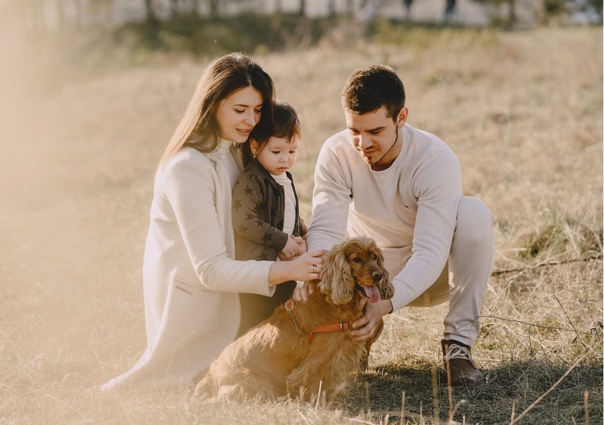 5 Essential Tips for First-time Dog Parents