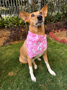Cute Summer Dogs Scarf (Pink) - Free Size/ Wrap Around Dog Bandana