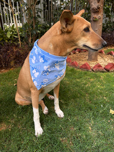 Cute Summer Dogs Scarf (Blue) - Free Size/ Wrap Around Dog Bandana