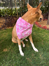 Load image into Gallery viewer, Cute Summer Dogs Scarf (Pink) - Free Size/ Wrap Around Dog Bandana