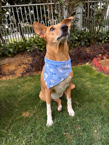 Cute Summer Dogs Scarf (Blue) - Free Size/ Wrap Around Dog Bandana