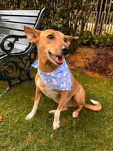 Load image into Gallery viewer, Cute Summer Dogs Scarf (Blue) - Free Size/ Wrap Around Dog Bandana