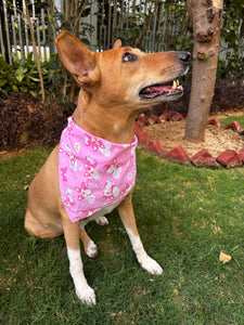 Cute Summer Dogs Scarf (Pink) - Free Size/ Wrap Around Dog Bandana