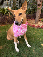Load image into Gallery viewer, Cute Summer Dogs Scarf (Pink) - Free Size/ Wrap Around Dog Bandana
