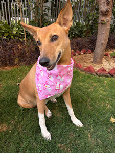 Cute Summer Dogs Scarf (Pink) - Free Size/ Wrap Around Dog Bandana