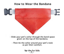 Load image into Gallery viewer, Traditional Dog Bandana: Bandana with Gota for Festivals and Weddings (Green)