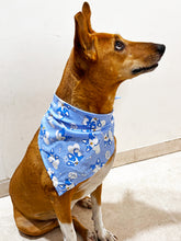 Load image into Gallery viewer, Cute Summer Dogs Scarf (Blue) - Free Size/ Wrap Around Dog Bandana