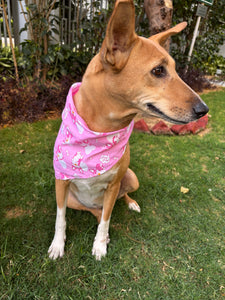 Cute Summer Dogs Scarf (Pink) - Free Size/ Wrap Around Dog Bandana
