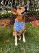 Load image into Gallery viewer, Cute Summer Dogs Scarf (Blue) - Free Size/ Wrap Around Dog Bandana