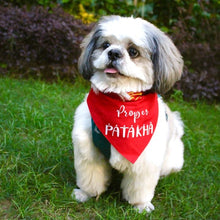 Load image into Gallery viewer, Dog Bandana: Proper Patakha Diwali Bandana for Pets