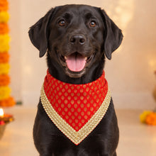 Load image into Gallery viewer, For The Fur Kids Traditional Dog Bandana with Lace for Diwali, Weddings and Special Occasions