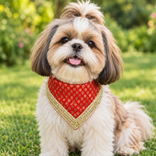 Load image into Gallery viewer, For The Fur Kids Traditional Dog Bandana with Lace for Diwali, Weddings and Special Occasions