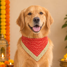 Load image into Gallery viewer, For The Fur Kids Traditional Dog Bandana with Lace for Diwali, Weddings and Special Occasions