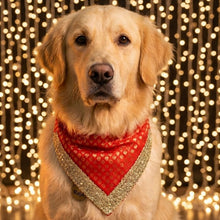 Load image into Gallery viewer, For The Fur Kids Traditional Dog Bandana with Lace for Diwali, Weddings and Special Occasions