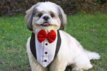 Load image into Gallery viewer, Tuxedo Bandana for Pets (with Velcro Strap)