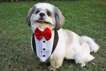 Load image into Gallery viewer, Tuxedo Bandana for Pets (with Velcro Strap)