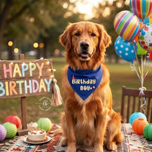 Load image into Gallery viewer, Dog Bandana: Birthday Boy Bandana for Pets