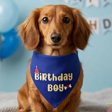 Load image into Gallery viewer, Dog Bandana: Birthday Boy Bandana for Pets