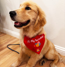 Load image into Gallery viewer, Pet Bandana: Birthday Dog Bandana for Photoshoots and Birthday Parties