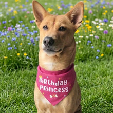 Load image into Gallery viewer, Dog Bandana: Birthday Girl Bandana for Pets