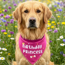 Load image into Gallery viewer, Dog Bandana: Birthday Girl Bandana for Pets