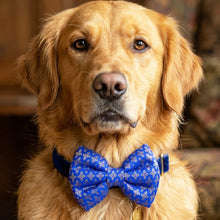 Load image into Gallery viewer, Bow Tie for Dogs: Traditional Festive Bow for Pets (Blue)