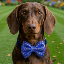 Load image into Gallery viewer, Bow Tie for Dogs: Traditional Festive Bow for Pets (Blue)