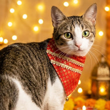 Load image into Gallery viewer, For The Fur Kids Festive Bandana for Cats