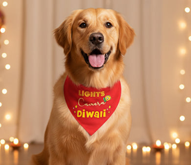 Dog Bandana: Lights Camera Diwali Bandana for Pets