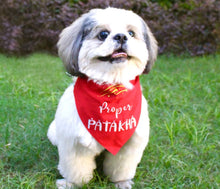 Load image into Gallery viewer, Dog Bandana: Proper Patakha Diwali Bandana for Pets