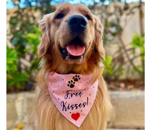 Dog Bandana: Free Kisses Bandana for Valentine's Day (Pink)