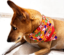 Load image into Gallery viewer, Gujarati Mirror Work Dog Bandana: Navratri and Diwali Pet Bandana