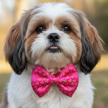 Load image into Gallery viewer, Wedding and Diwali Dog Bow: Traditional Banarasi Bow Tie for Pets (Pink Flower)