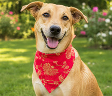 Load image into Gallery viewer, Traditional Dog Bandana: Ethnic Dog Bandana with Embroidery for Diwali, Weddings and Festivals