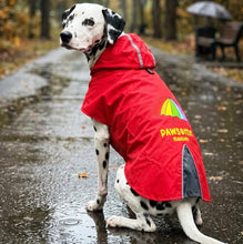 Load image into Gallery viewer, Pawsome Mausum Dog Raincoat - for Golden Retriever, Labrador, German Shepherd, Boxer, Rottweiler, Doberman and Similar Dog Breeds