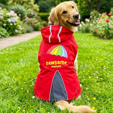 Load image into Gallery viewer, Pawsome Mausum Dog Raincoat - for Golden Retriever, Labrador, German Shepherd, Boxer, Rottweiler, Doberman and Similar Dog Breeds