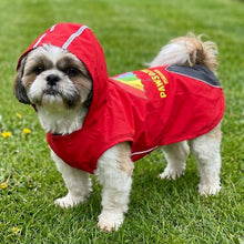 Load image into Gallery viewer, Pawsome Mausum Dog Raincoat - for Golden Retriever, Labrador, German Shepherd, Boxer, Rottweiler, Doberman and Similar Dog Breeds
