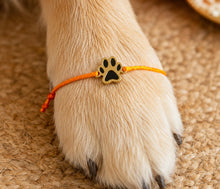Load image into Gallery viewer, Mini Rakhi Gift Box for Pets (Traditional)