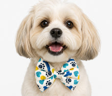Load image into Gallery viewer, Mini Rakhi Gift Box for Pets (Western)