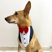 Load image into Gallery viewer, Tuxedo Bandana for Pets (with Velcro Strap)