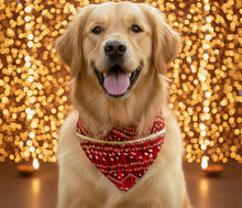 Load image into Gallery viewer, For The Fur Kids Wedding Dog Bandana with Gota Embellishment