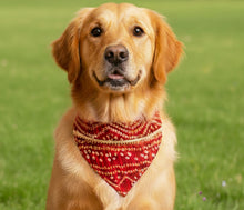 Load image into Gallery viewer, For The Fur Kids Wedding Dog Bandana with Gota Embellishment