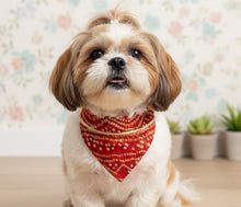 Load image into Gallery viewer, For The Fur Kids Wedding Dog Bandana with Gota Embellishment