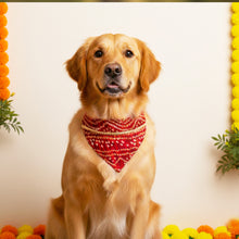 Load image into Gallery viewer, For The Fur Kids Wedding Dog Bandana with Gota Embellishment
