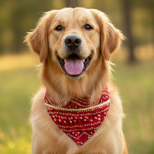 Load image into Gallery viewer, For The Fur Kids Wedding Dog Bandana with Gota Embellishment