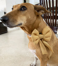 Load image into Gallery viewer, Sparkle Dog Bow Tie