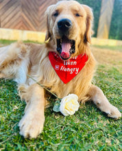 Load image into Gallery viewer, Dog Bandana: Single Taken Hungry Quirky Bandana for Dogs (Red)