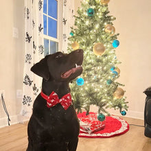 Load image into Gallery viewer, Dog Bow Tie: Holiday Bow for Pets