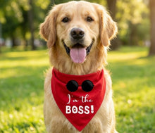 Load image into Gallery viewer, Dog Bandana: I'm The Boss Bandana for Dogs (Red)